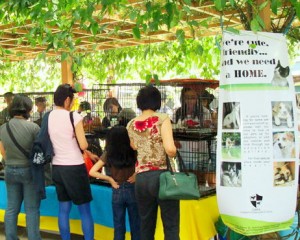 adoption booth- join