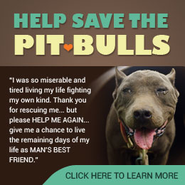 Help Save the Pitbulls