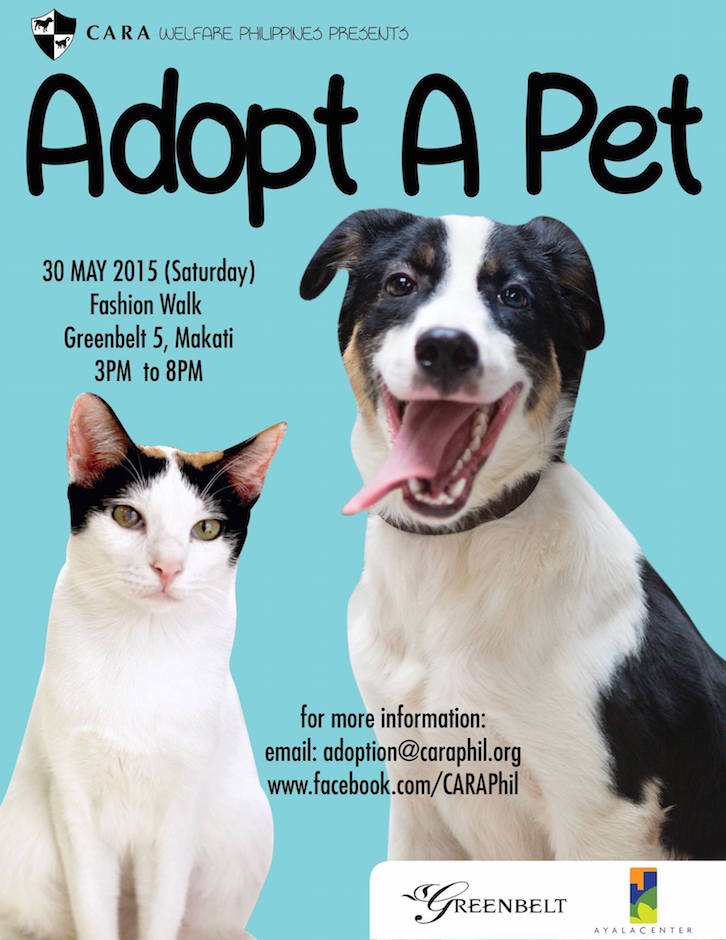 CARA Welfare Philippines - adoption event for animal welfare - Adopt A Pet - May 30, 2015
