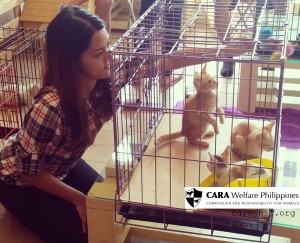 CARA - animal welfare in the Philippines - Cadi, Bentley, Royce - adoption event cat cafe manila