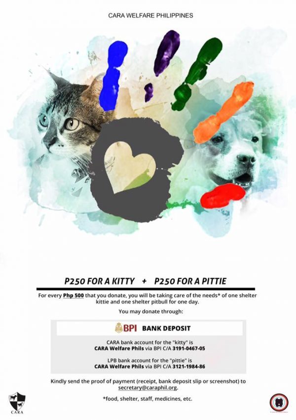 2017-CARA-GiveMeFive-Campaign-adopt-dont-shop