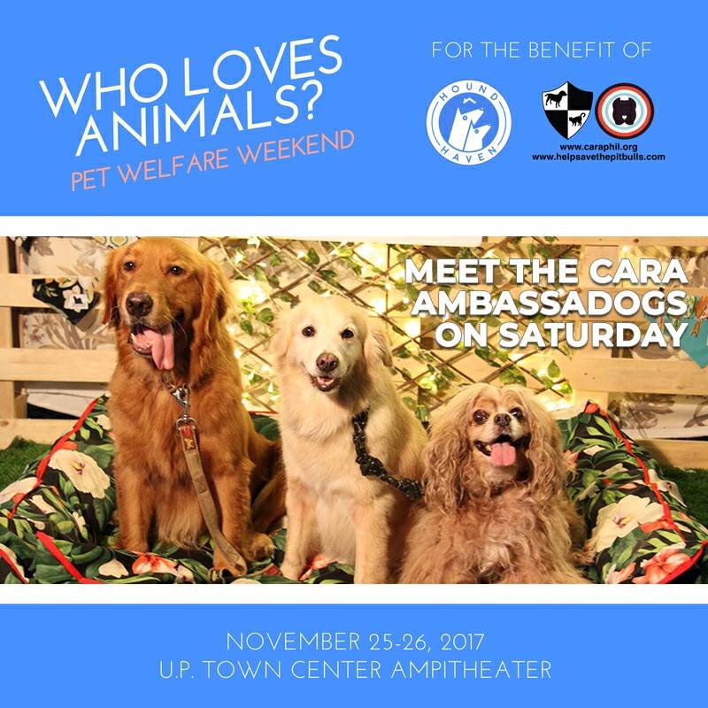 puppy adoption events near me this weekend