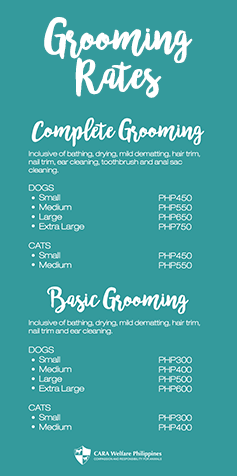 CARA Welfare Philippines Pet Grooming – CARA Welfare Philippines CARA Welfare Philippines Pet Grooming – CARA Welfare Philippines
