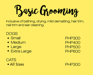 CARA Welfare Philippines » Pet Grooming