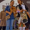 CARA - Animal Welfare Group in the Philippines - Animal Welfare Fundraising Event - Halloween Purr-ty 2013