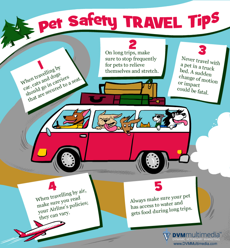Pet Safety Travel Tips