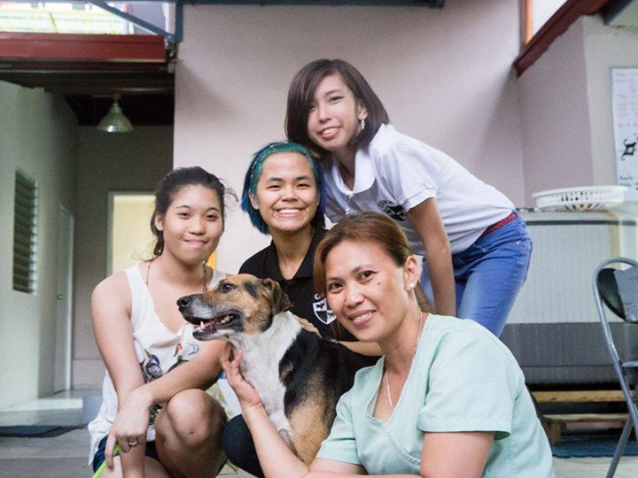 CARA - Animal Welfare in the Philippines - Volunteers