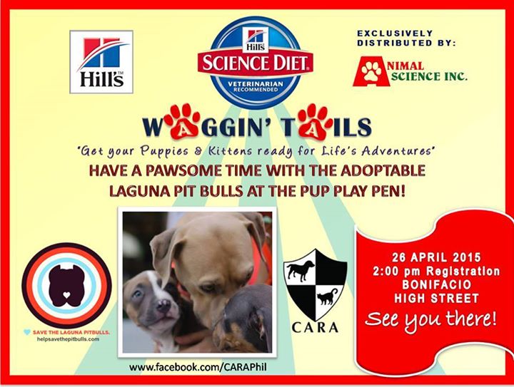 See you at WAGGIN’ TAILS 2015 – CARA Welfare Philippines