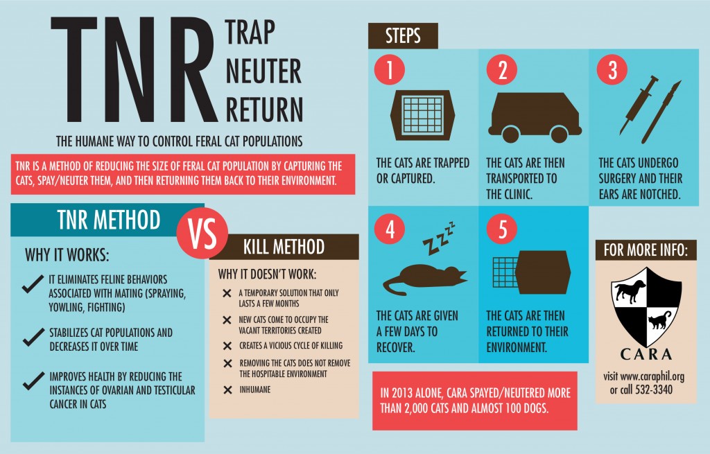 Trap Neuter Return Infographic