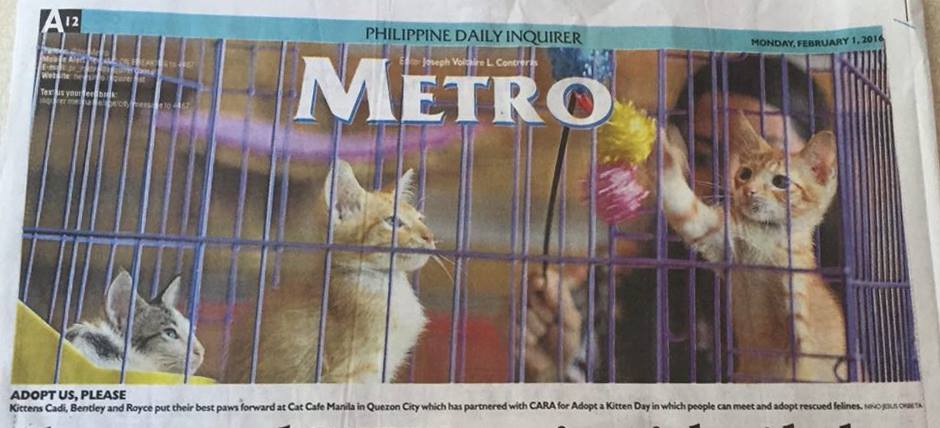 February-Adopt A Kitten-Featured Newspaper Article-CARA-Animal Welfare in the Philippines-Cat Cafe Manila- Philippine Daily Inquirer