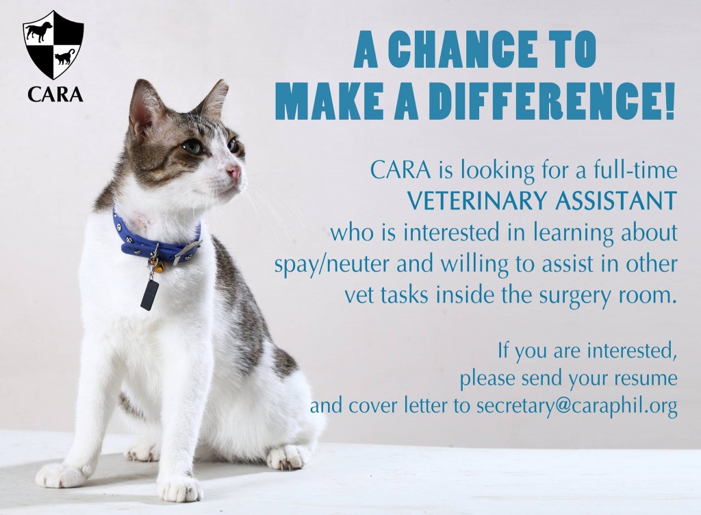 CARA Animal Welfare - job opportunity - vet assistant
