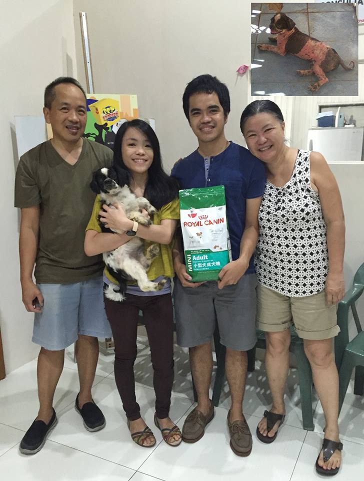 september-2016-adopted-frankie-rescue-caradog-royal-canin-philippines-adoptdontshopt
