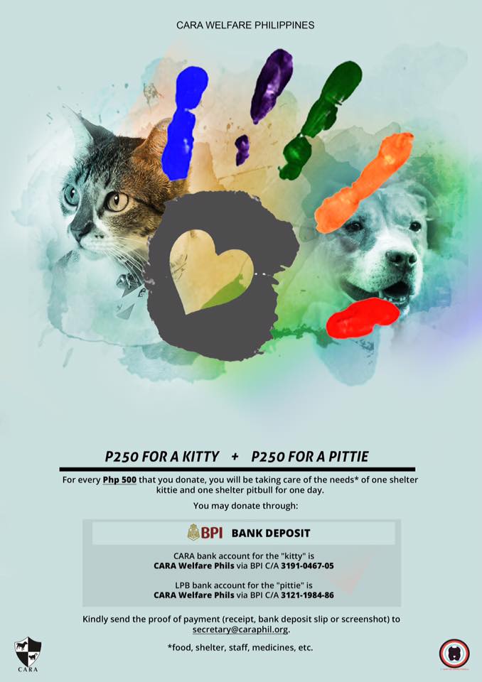 2017-CARA-GiveMeFive-Campaign-adopt-dont-shop