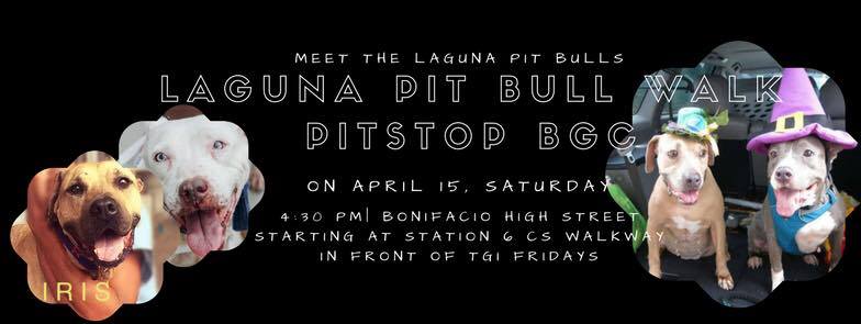 Laguna Pit Bull Pitstop 15 April 2017 - CARA - Animal Welfare Philippines