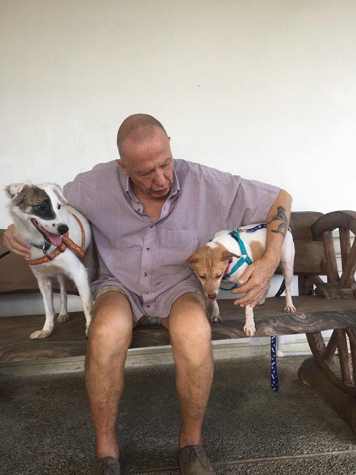 Jan 2018 - Adopted dogs Luna Jessica CARA Welfare Philippines - AdoptDont Shop