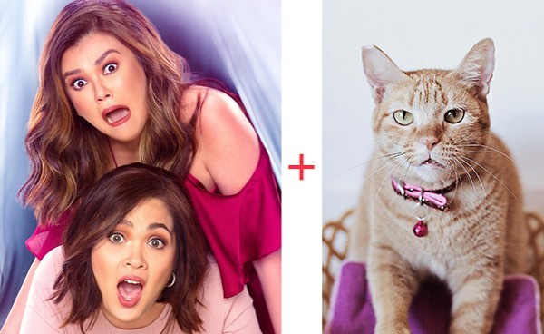 Jan 2018 - Thank You Featured CARA cat movie CARA Welfare Philippines - AdoptDont Shop
