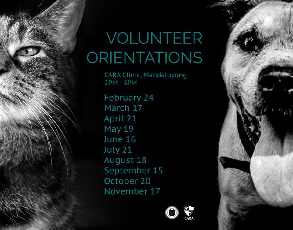 Feb 2018 - Schedule of Volunteer Orientations CARA Welfare Philippines - AdoptDont Shop