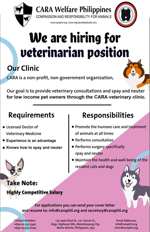 CARA is hiring a vet