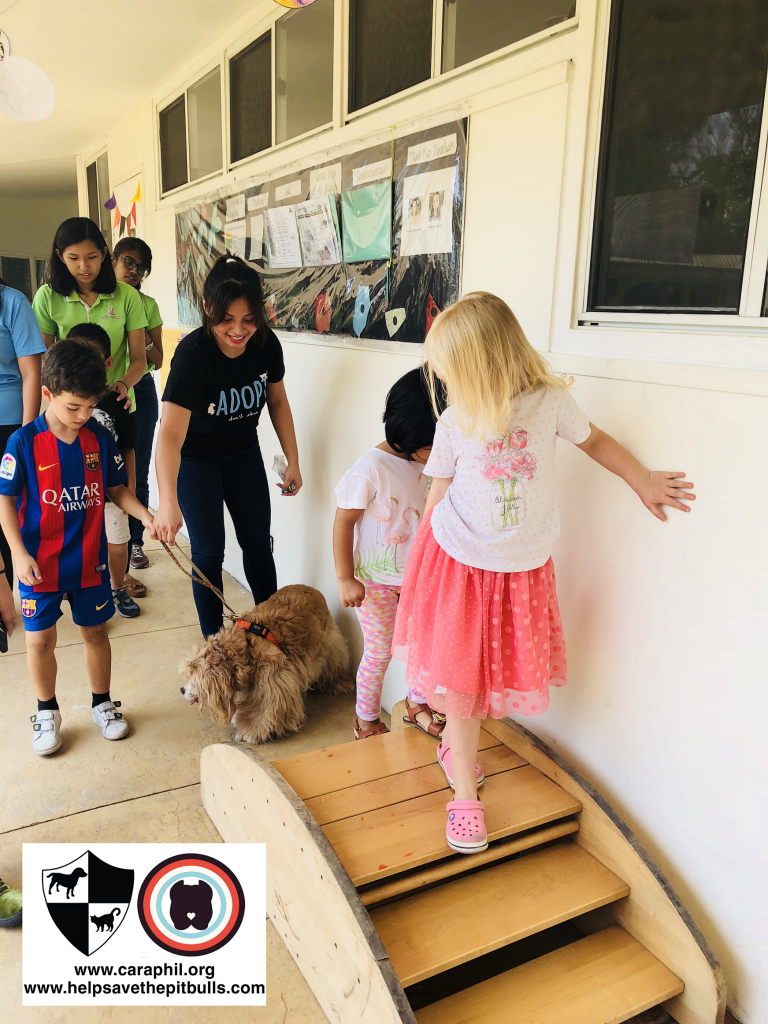 Kimchi and students - CARA ambassadog