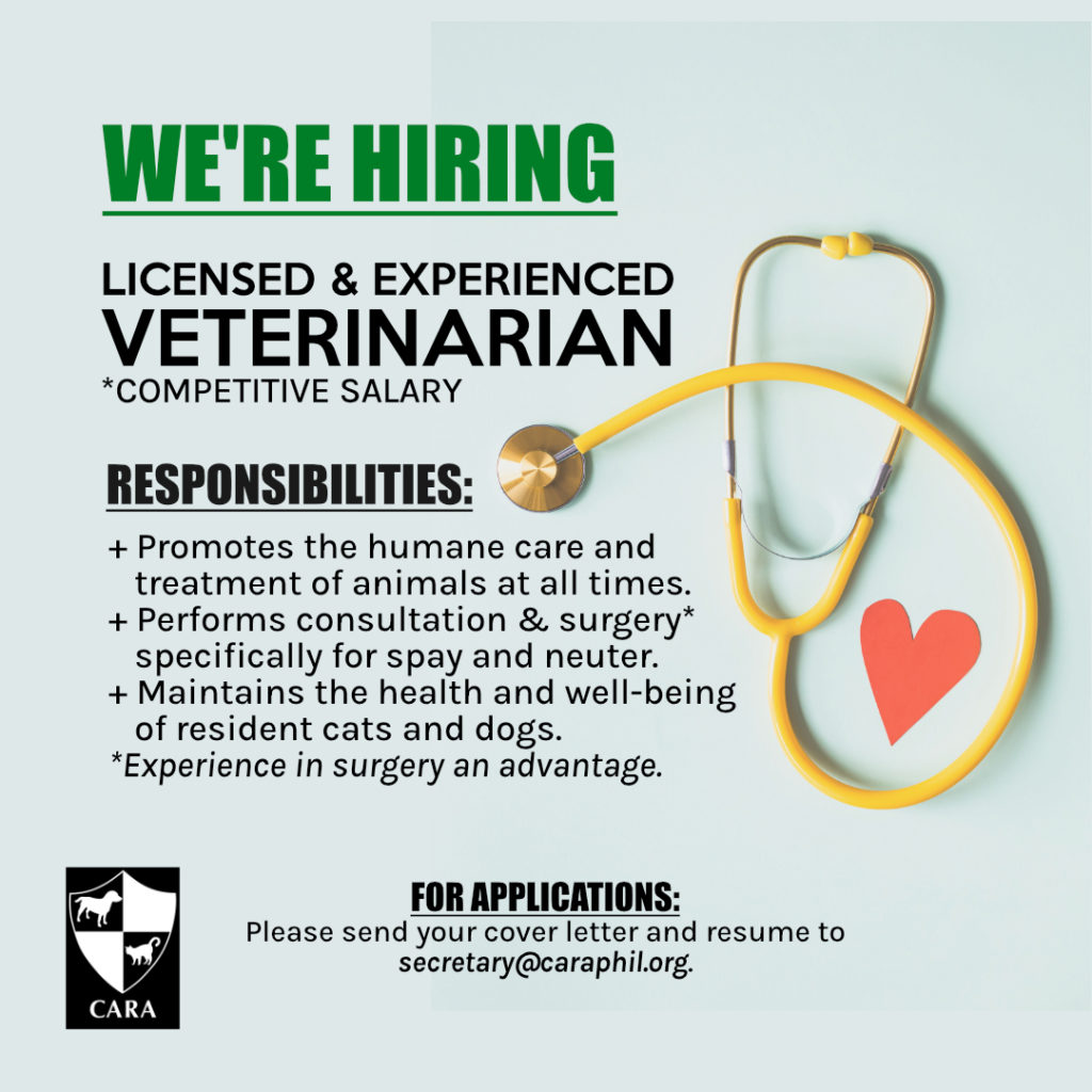 We're Hiring: Licensed Veterinarian