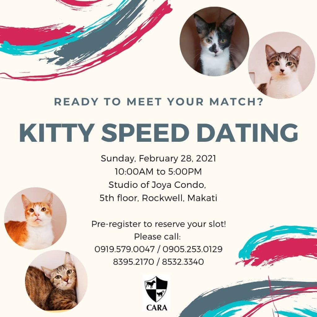 poster for Kitty Speed Dating event