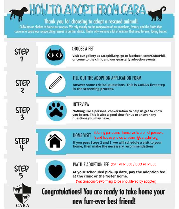 Adopt a Pet – CARA Welfare Philippines