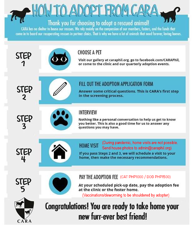 Steps to Adopt an Animal