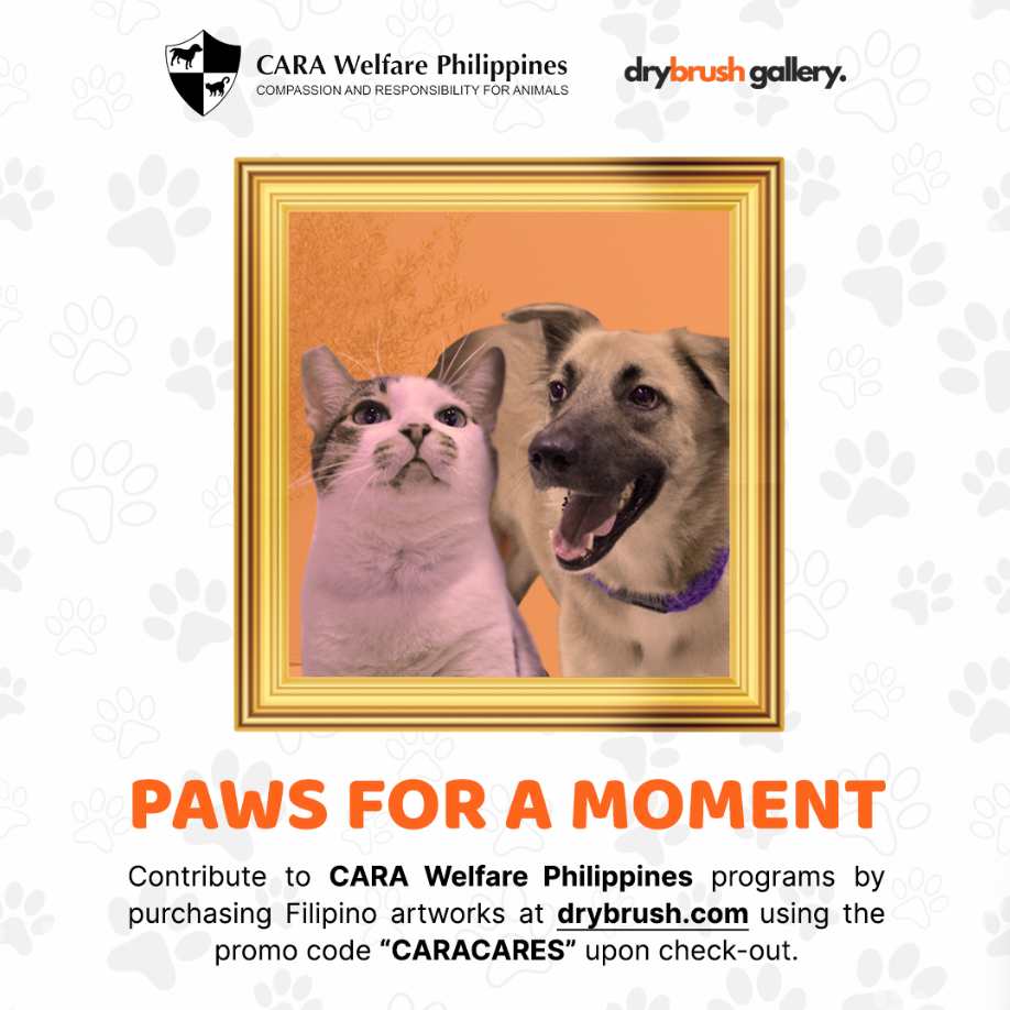 poster for Paws For A Moment promotion