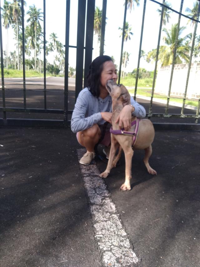 woman volunteer embracing a dog while the dog licks her face